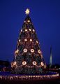 National Christmas tree on the National Mall 13965v.jpg