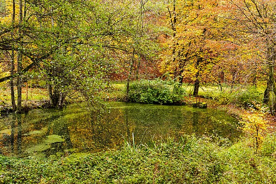 Fish pond in the nature reserve Ostertal between Herchweiler and Marth