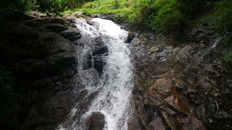 File:Nelliampathi Stream.jpg