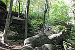 Thumbnail for Nelson Kennedy Ledges State Park