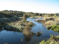 drasland nabij de monding