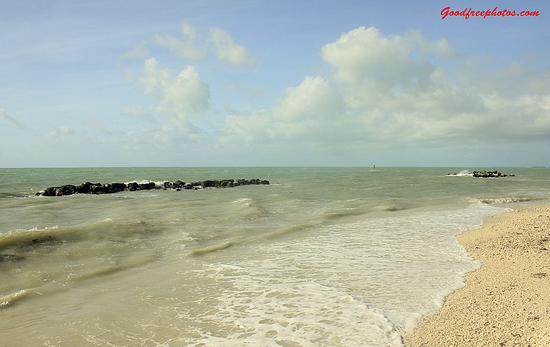 File:Ocean-shoreline.jpg - panoramio.jpg