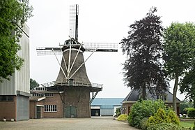 Overzicht van de molen - Oldebroek - 20420908 - RCE.jpg
