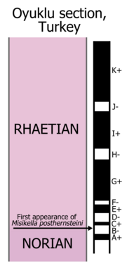 The magnetostratigraphic sequence of the Oyuklu section in Turkey, which Gallet et al. (2007) used to support a "short Rhaetian" hypothesis Oyuklu magnetostratigraphy.png