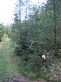 Čeština: Přírodní park Horní Střela - kontrolní stanoviště orientačního běhu