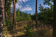 Čeština: Přírodní park Terezské údolí, okres Olomouc