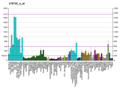 PBB GE CDK5RAP3 218740 s bei fs.png