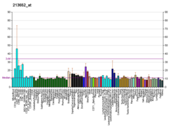 PBB GE PCSK5 213652 at fs.png