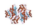 Thumbnail for Saccharopine dehydrogenase