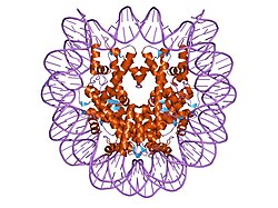 PDB 2f8n EBI.jpg