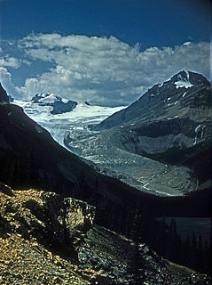 Peyto Glacier Glacier in Canada