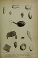 Plate Annulosa XVII "Lepidurus viridis, Estheria Dahalacensis, Cypridina Mariæ, Cypridina interpuncta, Cypridina Zealandica"