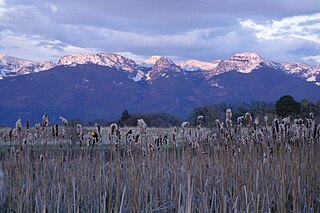 <span class="mw-page-title-main">Pablo National Wildlife Refuge</span>