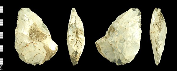 Palaeolithic ovate handaxe (incomplete) (FindID 245082).jpg