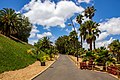 * Nomination Palmetum of Santa Cruz de Tenerife --Mike Peel 19:47, 29 January 2022 (UTC) * Decline  Oppose Too blurry. Sorry. --Ermell 22:19, 29 January 2022 (UTC)