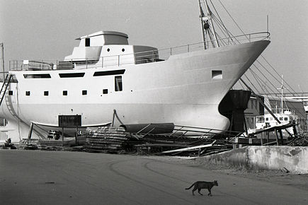 Photo of Ancona by Paolo Monti for the Touring Club Italiano Paolo Monti - Serie fotografica (Ancona, 1969) - BEIC 6354376.jpg