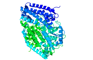 Peptidyl-dipeptidase Dcp
