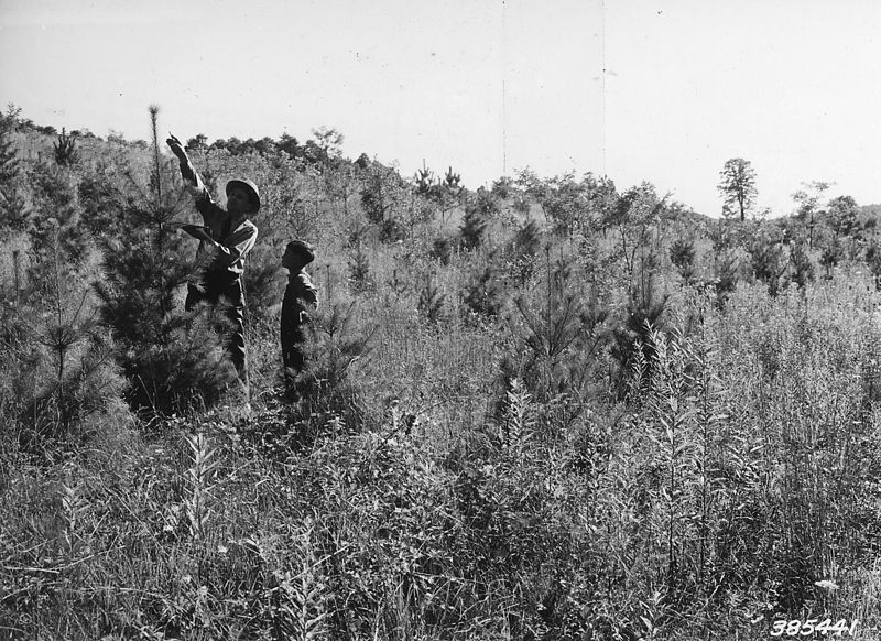 File:Photograph of District Ranger Tony Quinkert - NARA - 2128425.jpg