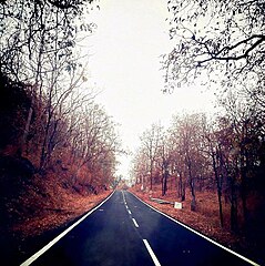 Road to Phurlijharan