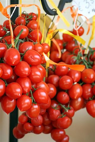 <i>Pomodorino del Piennolo del Vesuvio</i> Grape tomato grown in Naples, Italy