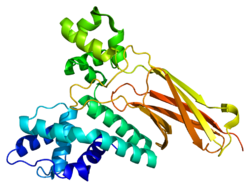 Protein ASCC3L1 PDB 2q0z.png