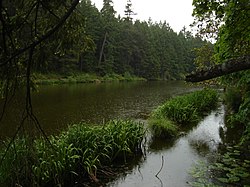Озеро Квеннелл, Британская Колумбия.jpg