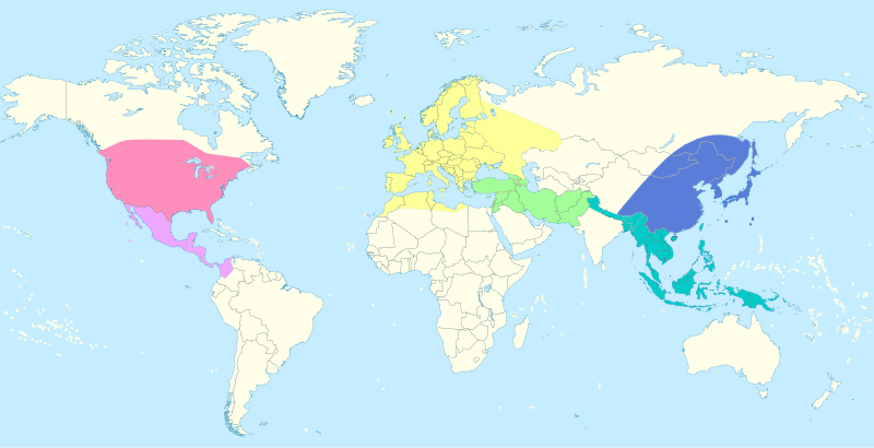 File:Quercus Global Distribution.svg