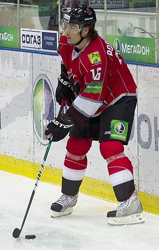 <span class="mw-page-title-main">Randy Robitaille</span> Canadian ice hockey player