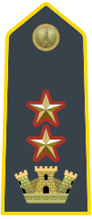 Lieutenant-Colonel, commanding officer