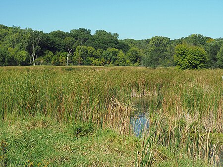 Reservoir Woods Park