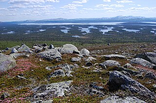 <span class="mw-page-title-main">Rogen moraine</span> Landform of ridges deposited by a glacier or ice sheet transverse to ice flow