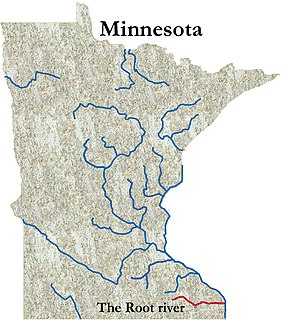 Root River (Minnesota) tributary of the Mississippi River in Minnesota, United States