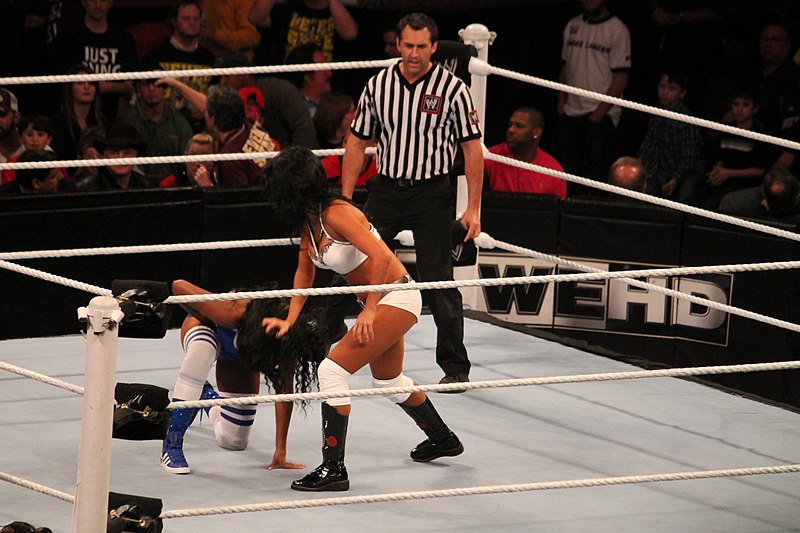 File:Rosa Mendes 2013.jpg