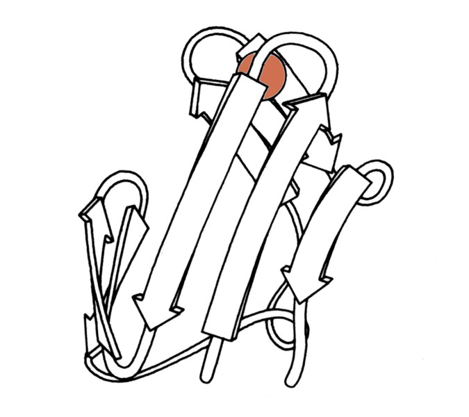 File:Rubredoxin Fe 2rxn rib.tif