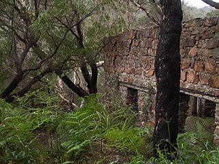 <span class="mw-page-title-main">Wallcliffe House</span> Homestead in Prevelly, Western Australia