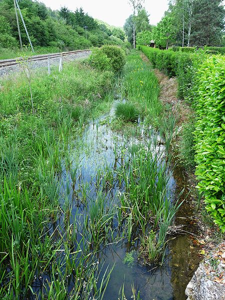 File:Ruisseau Saint-Geyrac Ste Marie de Chignac la Rebière.JPG