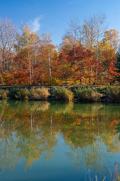 File:Rybaczówka, Wygoda, Sosnowiec - 07.jpg