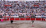 Crowd watches a bullfight in Mexico, 2010