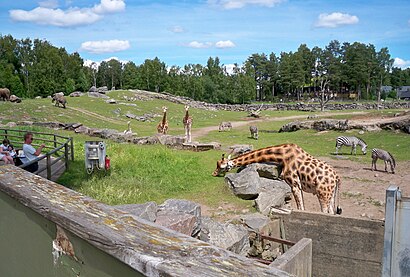 How to get to Borås Djurpark with public transit - About the place