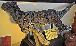 Skelet af Scelidosaurus harrisonii