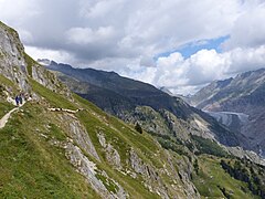 Im Hintergrund der Aletschgletscher und die Sommerweiden