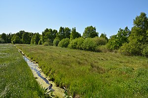 Schleswig-Holstein, Hennstedt, Landschaftsschutzgebiet Hennstedter Moor NIK 2605.jpg