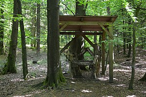 Schleswig-Holstein, Schwabstedt, Naturerlebnisraum NIK 6774.jpg