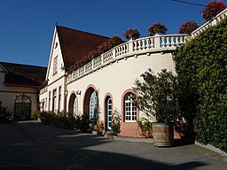 Schloss Wachenheim 01