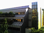 Universidad Bocconi