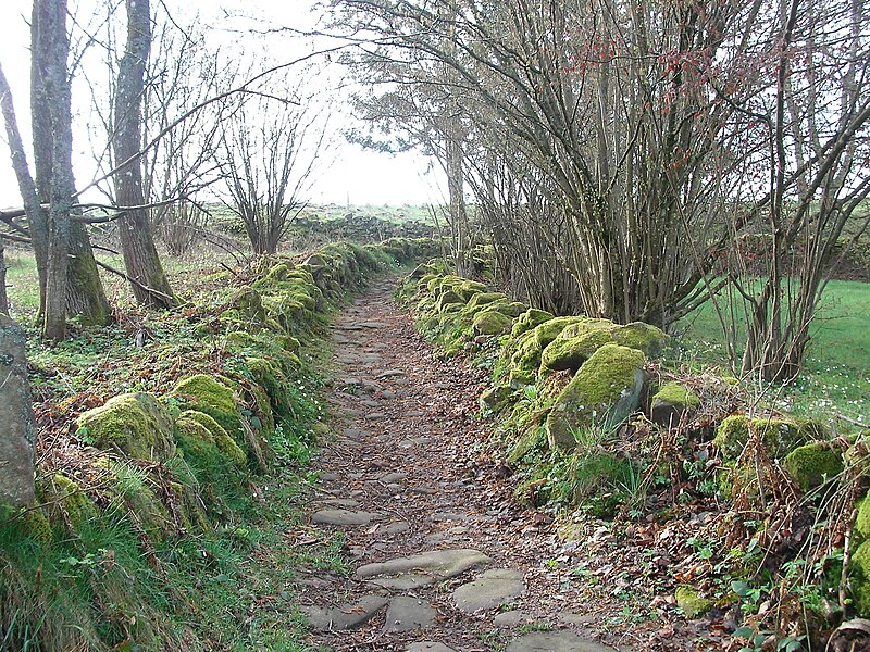 File:Sentier (17).jpg