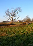 Shelley's Folly Shelley's Folly - geograph.org.uk - 1099778.jpg