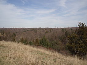 Short Hills провинциялық паркі Ontario.JPG