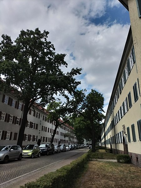 File:Siedlungs Siemensstadt Rieppelstraße 2.jpg