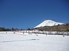 Snowtown Yeti & Mount Fuji Susono
